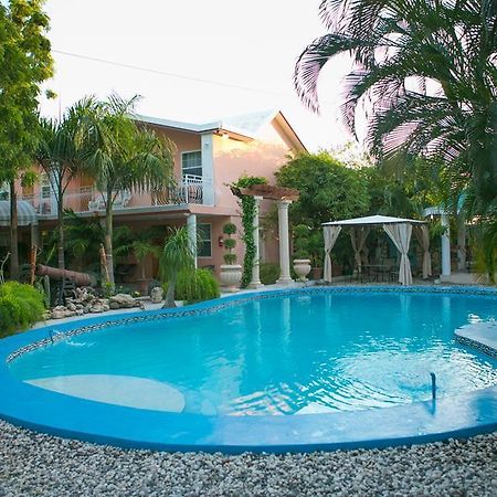 Palm Inn Hotel Port-au-Prince Oda fotoğraf