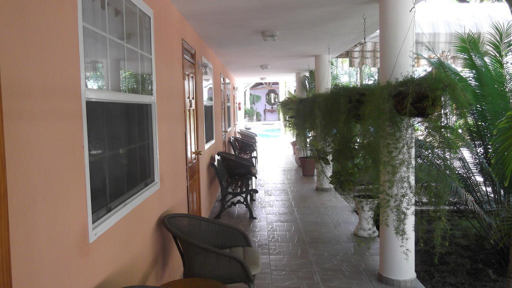 Palm Inn Hotel Port-au-Prince Dış mekan fotoğraf