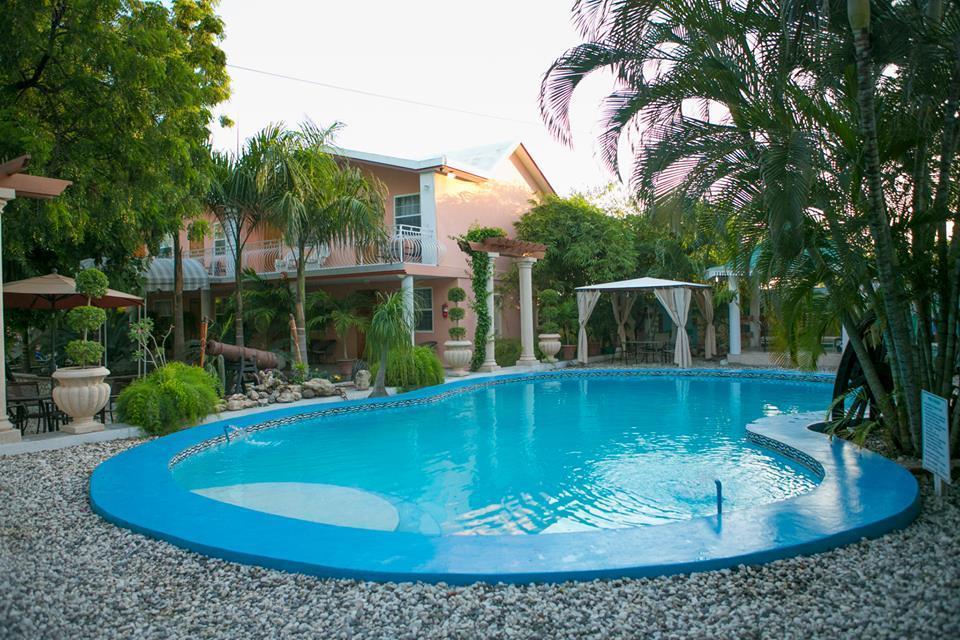 Palm Inn Hotel Port-au-Prince Oda fotoğraf