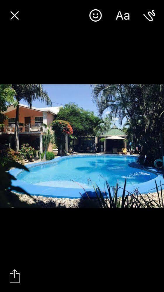 Palm Inn Hotel Port-au-Prince Dış mekan fotoğraf